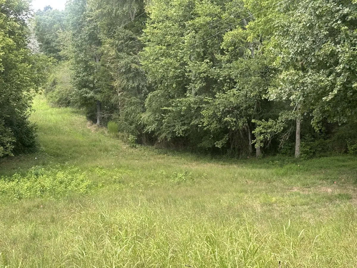 14579 Baker Road, Birchwood, TN 37308 - #1