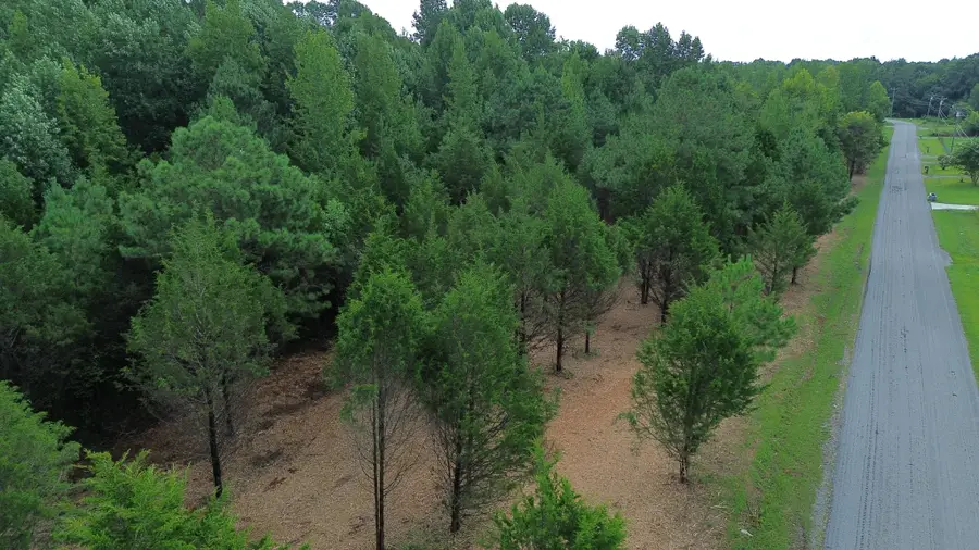0 A Street, Hillsboro, TN 37342 - #3