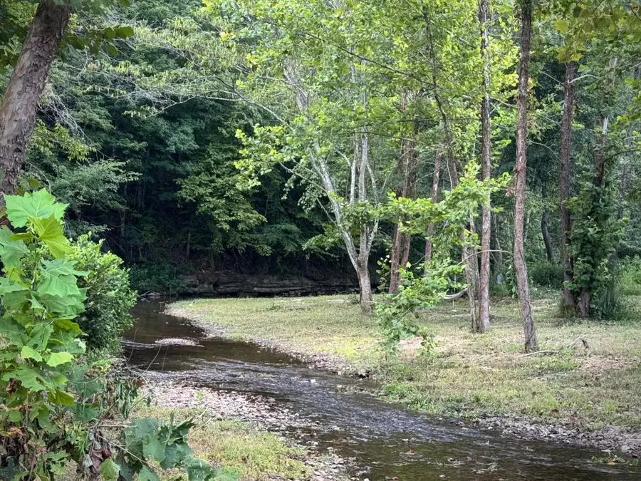 2280 Big Opossum Creek Rd, Linden, TN 37096 - #3