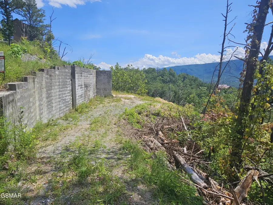 2330 Surries High Top Way, Sevierville, TN 37862 - #3