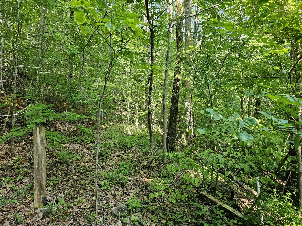 10 Kristina Way, Sevierville, TN 37862 - #1