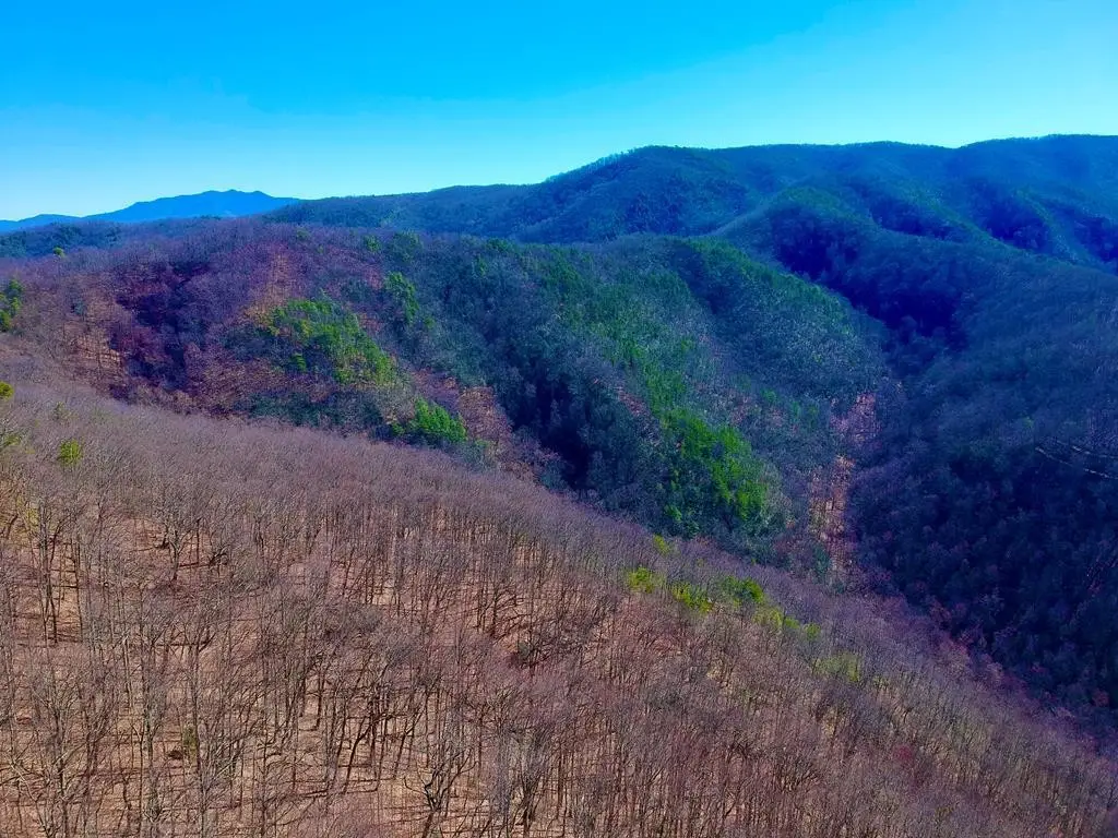 2 Ravens Den Way, Sevierville, TN 37862 - #1