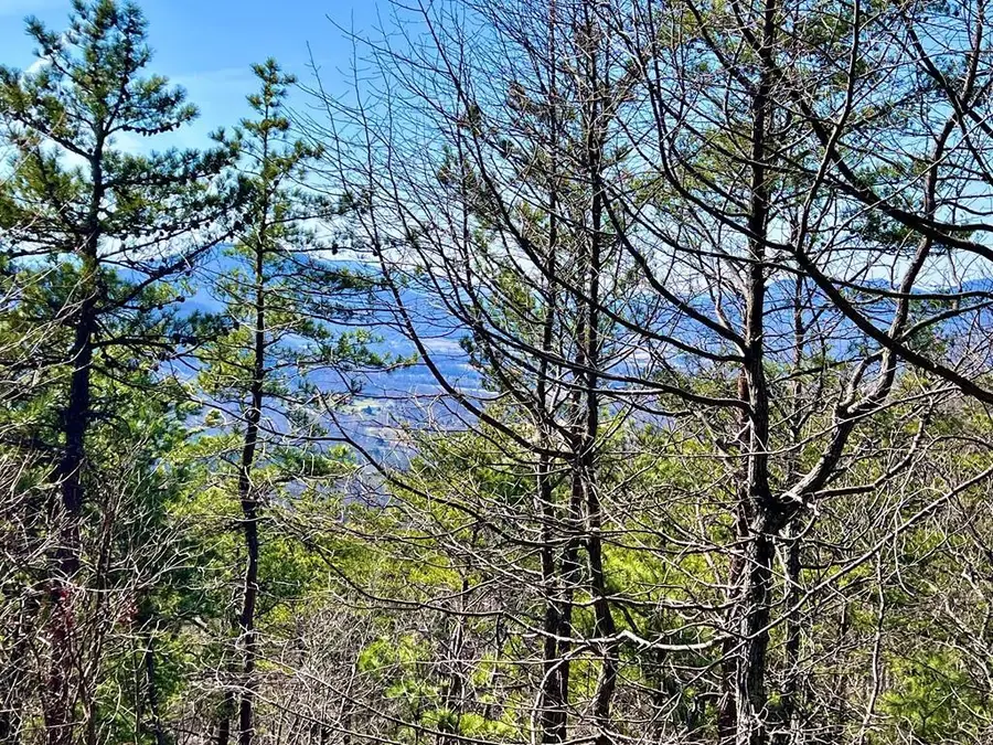 2 Ravens Den Way, Sevierville, TN 37862 - #2