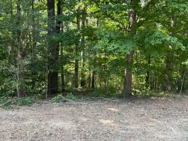 0 Scenic Drive, Dickson, TN 37055 - #3