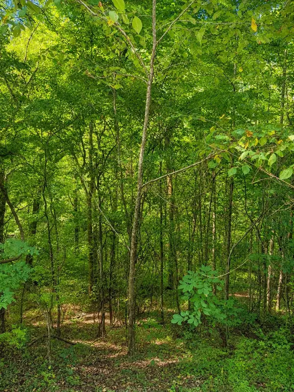 0 Shoreside Dr, Smithville, TN 37166