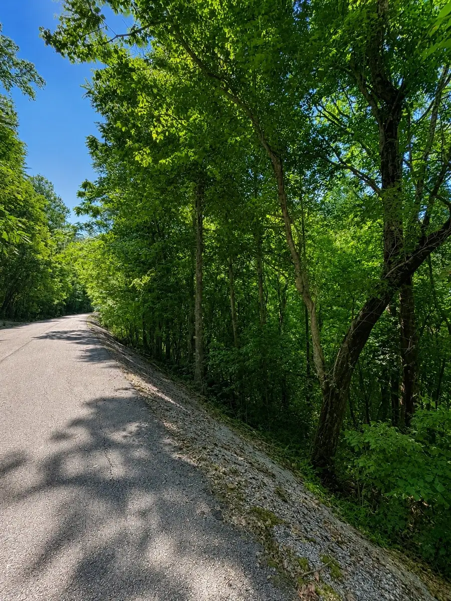 0 Shoreside Dr, Smithville, TN 37166 - #2