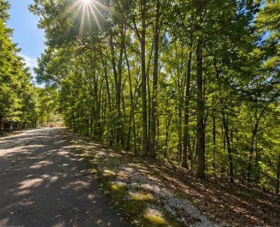 0 Swiper Dr, Smithville, TN 37166