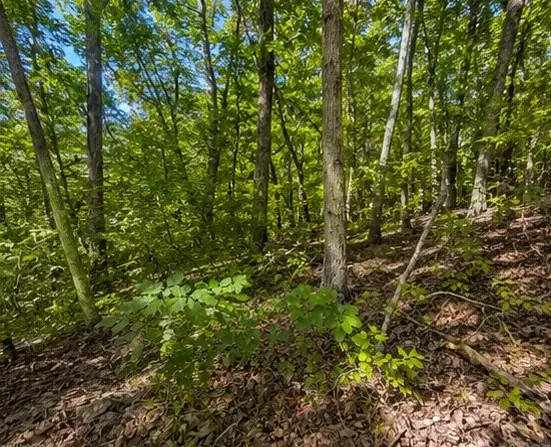 0 Swiper Dr, Smithville, TN 37166 - #3