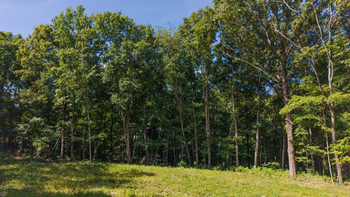 4538 Old Metal Rd, Palmyra, TN 37142 - #1