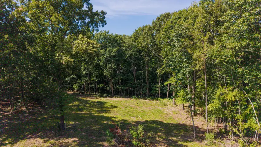 4538 Old Metal Rd, Palmyra, TN 37142 - #2