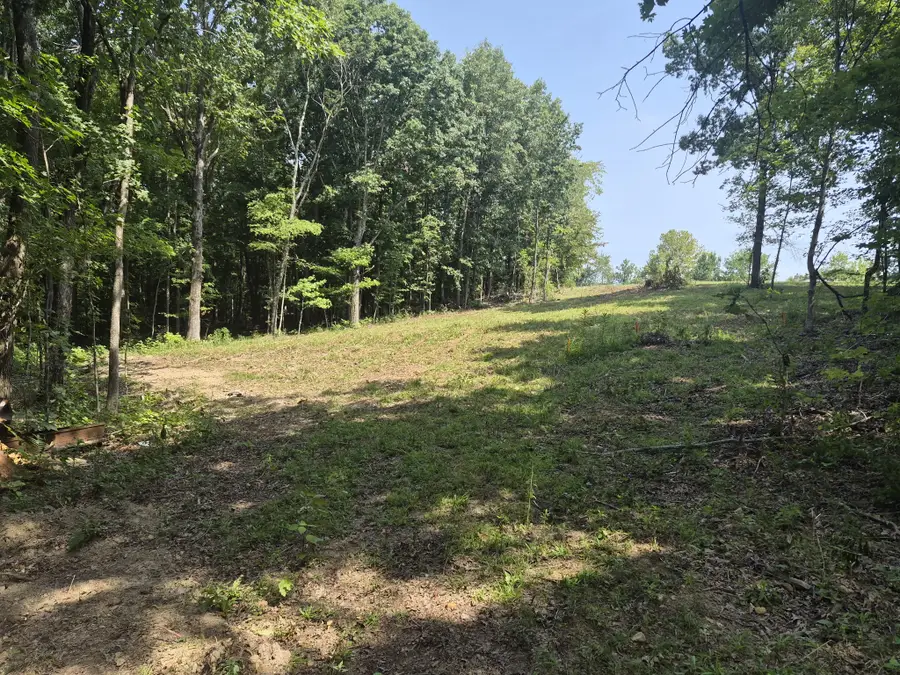 4538 Old Metal Rd, Palmyra, TN 37142 - #3