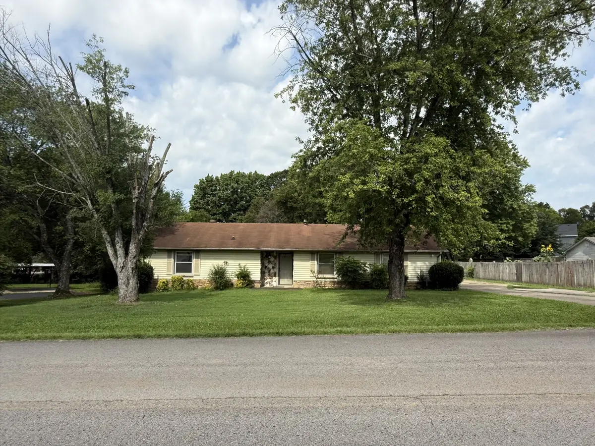 317 Pioneer Dr, Smyrna, TN 37167 - #1