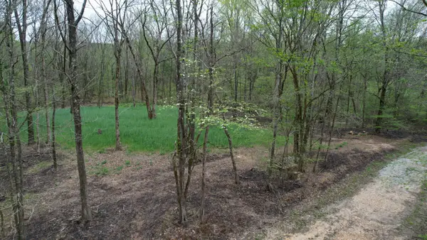 4424 Lane Spring Rd, Cherokee, AL 35616
