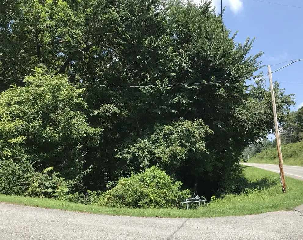 0 Hazel, Centerville, TN 37033 - #1
