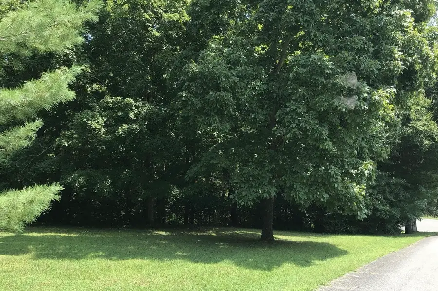 0 Hazel, Centerville, TN 37033 - #2