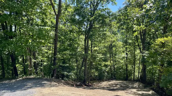 2324 Red Maple Lane, Sevierville, TN 37876