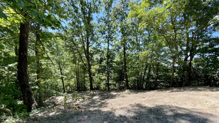 2324 Red Maple Lane, Sevierville, TN 37876 - #2