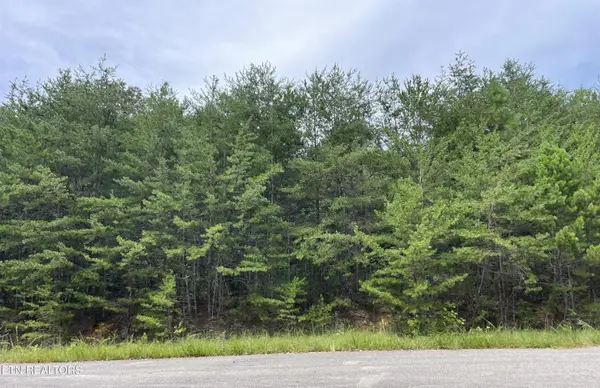 742 White Dogwood Rd, Cosby, TN 37722