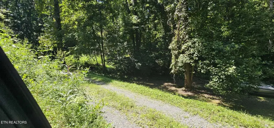 1241 Azalea Lane Lane, Newport, TN 37821 - #3