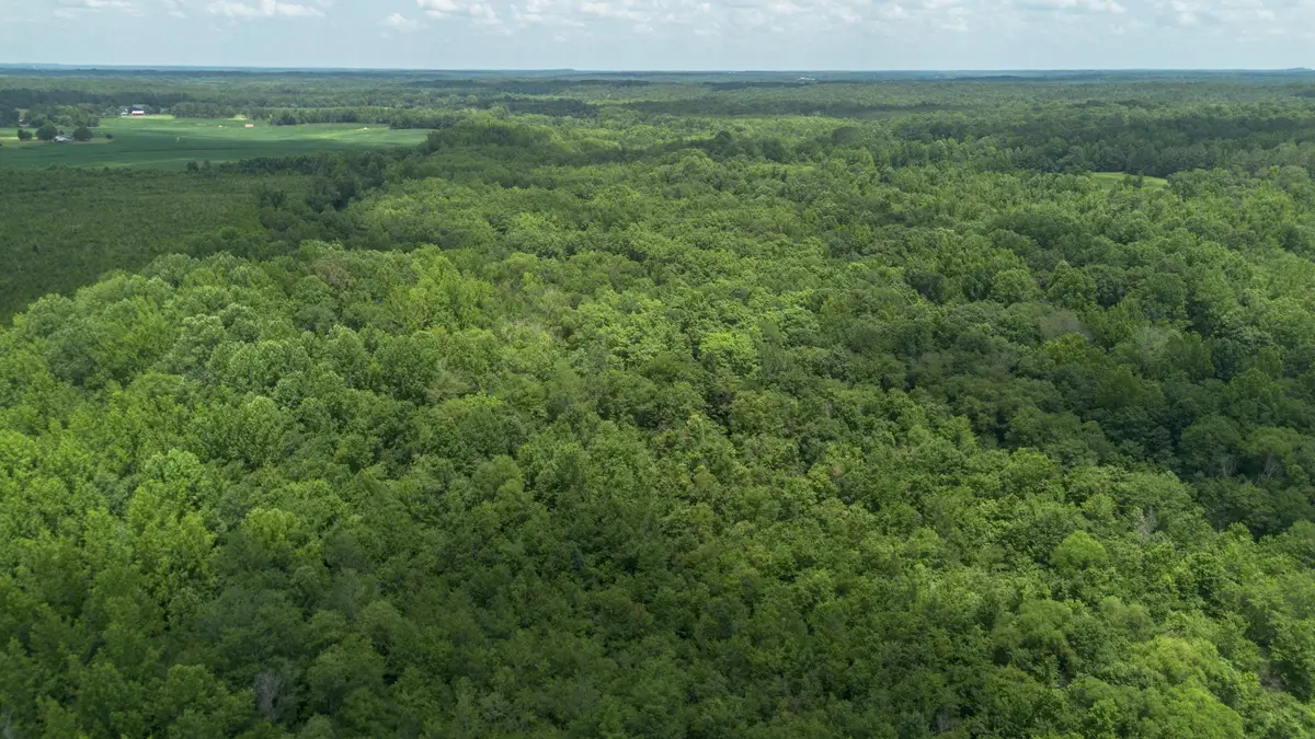 0 Smith Rd, Finger, TN 38334 - #1