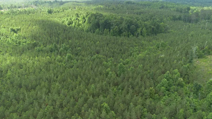 0 Old State Hwy 69, Sugar Tree, TN 38380 - #3