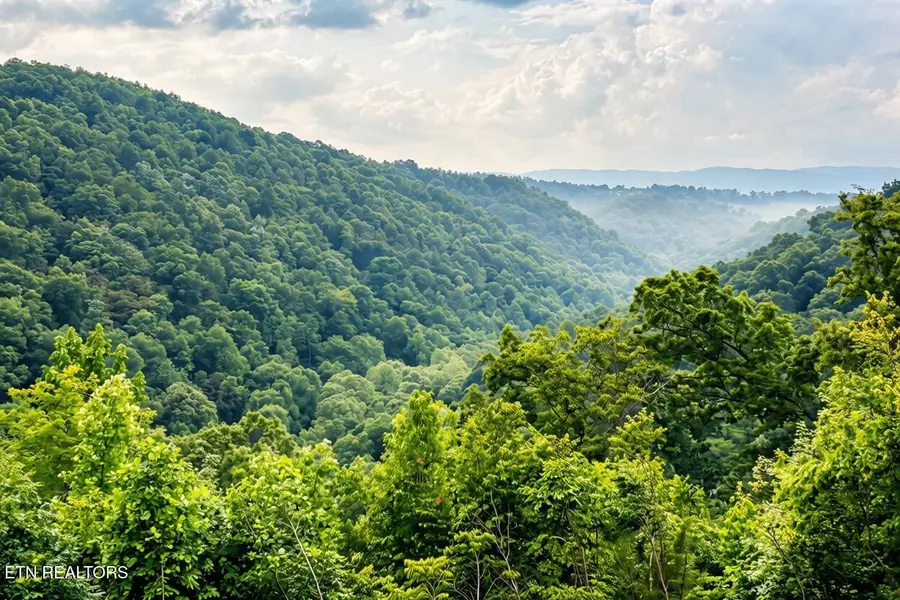 1160 Oak Grove Rd, Harrogate, TN 37752 - #3