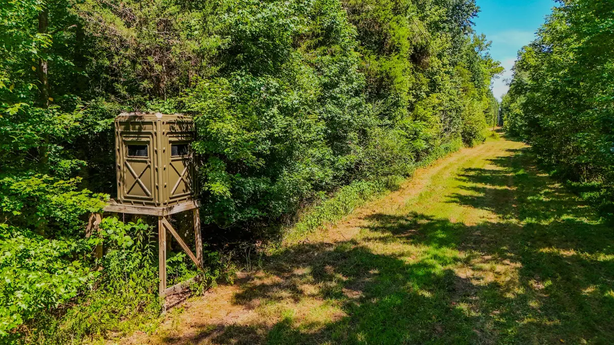 2195 Whiteoak Rd E, Clifton, TN 38425 - #1