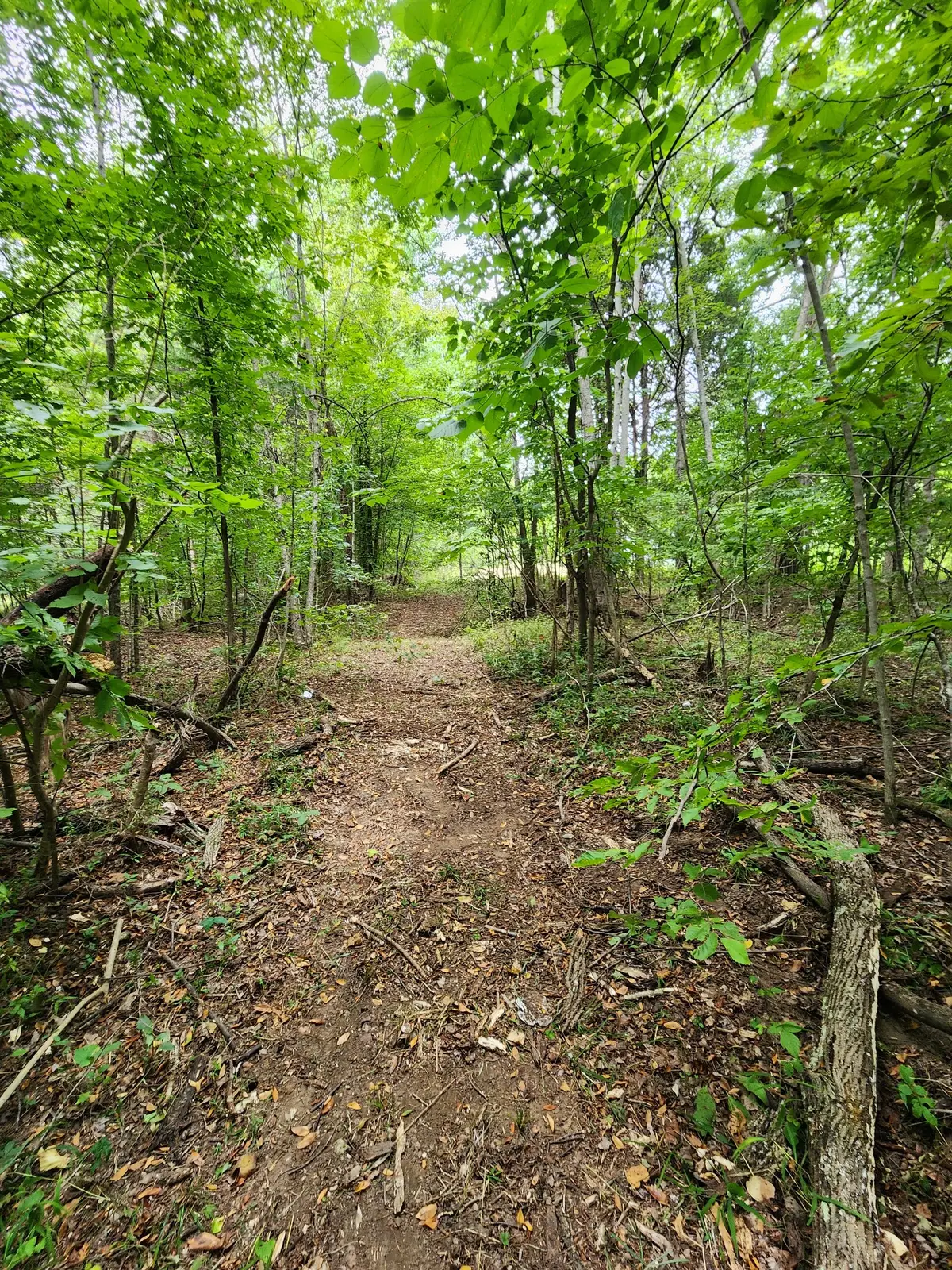 2754 Scribners Mill Rd, Culleoka, TN 38451 - #1