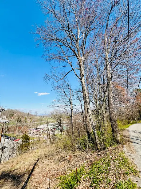 0 Nell St, Tazewell, TN 37879