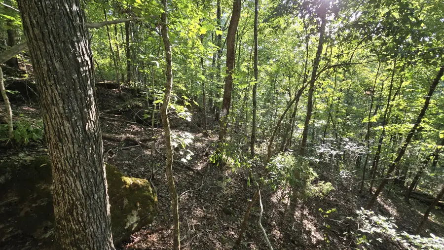 0 Baptist Church Rd, Culleoka, TN 38451 - #3