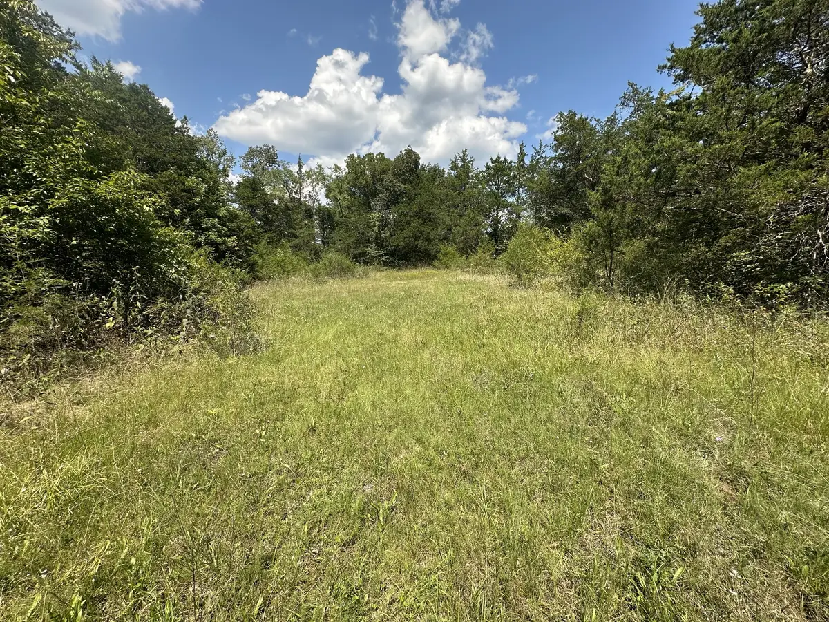 1 Gum Puckett Rd, Murfreesboro, TN 37127 - #1