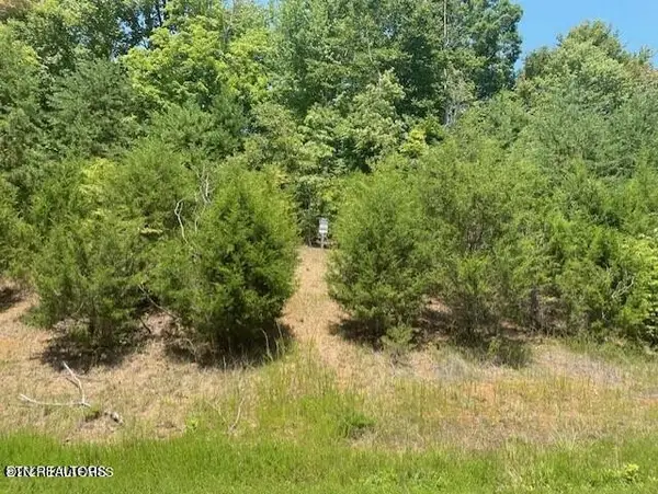492 Citron Lane, New Tazewell, TN 37825