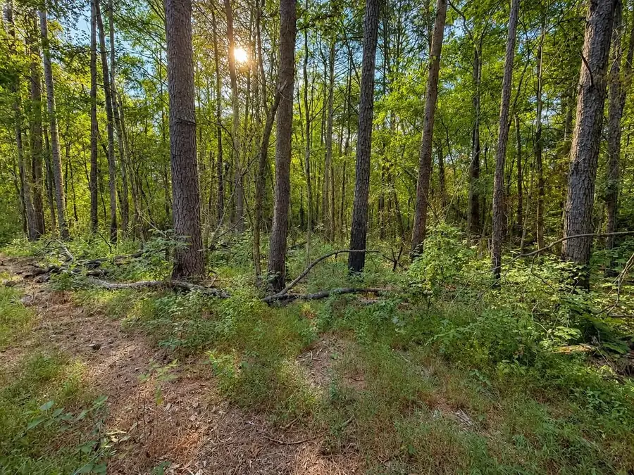 0 Judd Lane, Decatur, TN 37322 - #2