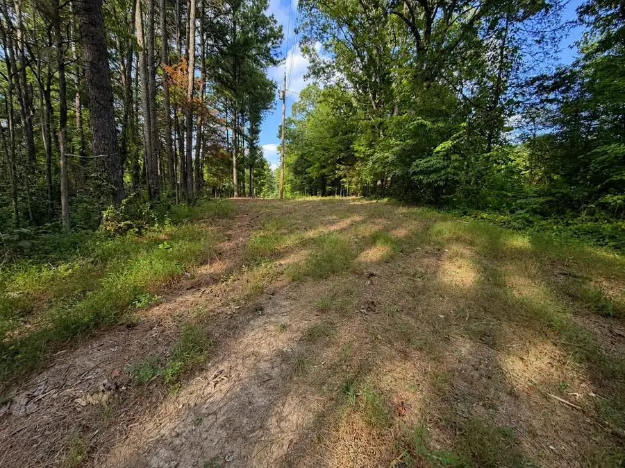 0 Judd Lane, Decatur, TN 37322 - #3