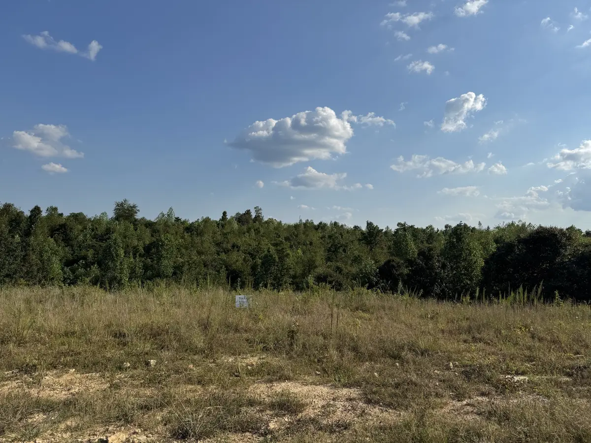 169 Twin Pines Rd, Lobelville, TN 37097 - #1