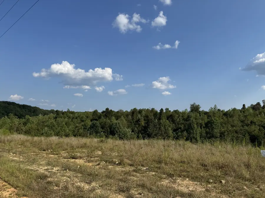 169 Twin Pines Rd, Lobelville, TN 37097 - #3