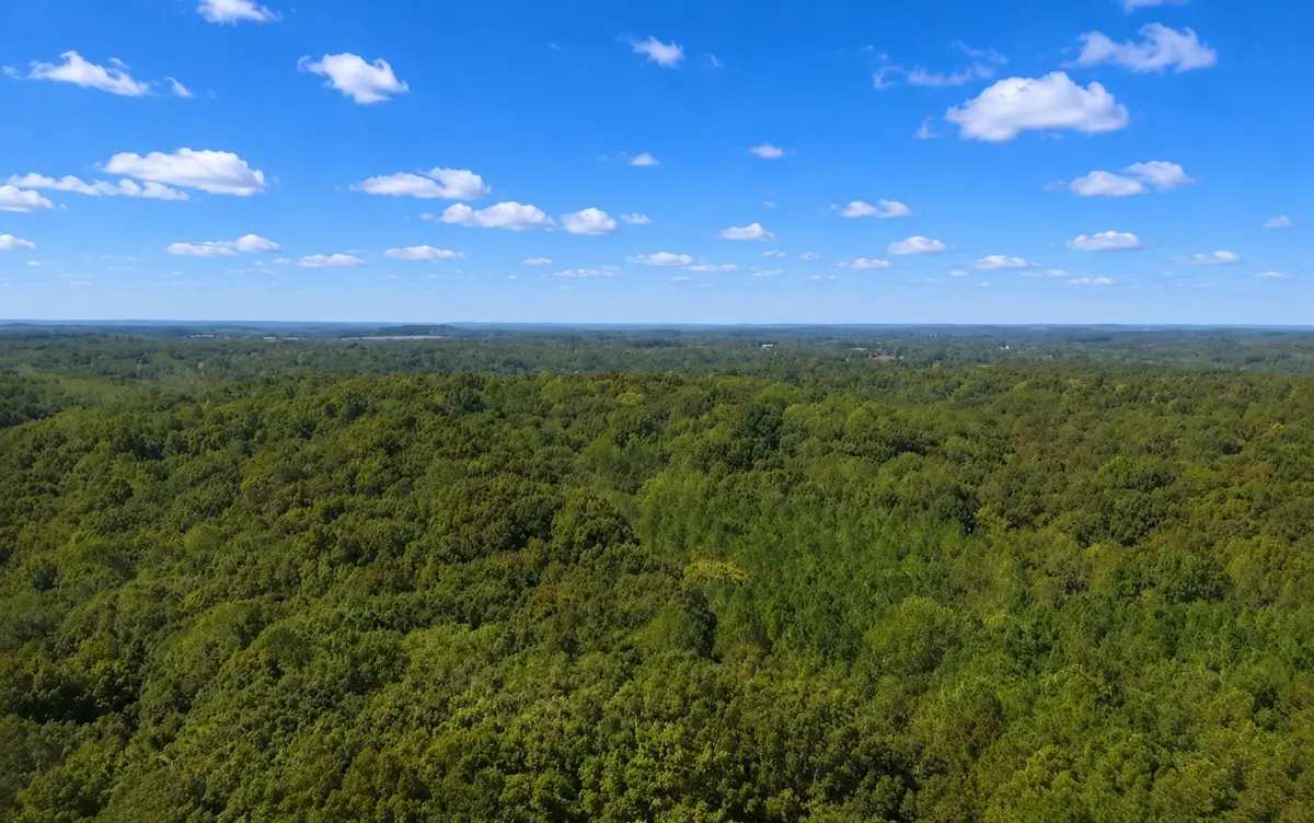 138 Vaughn Rd, Charlotte, TN 37036 - #1