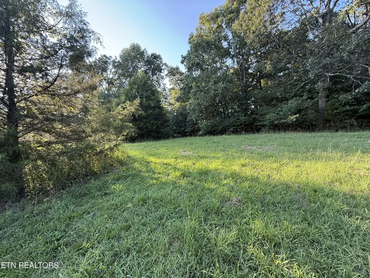 1305 Sweetwater Rd, Philadelphia, TN 37846 - #1