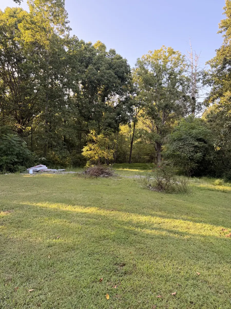7111 Ivey Rd, Fairview, TN 37062 - #2