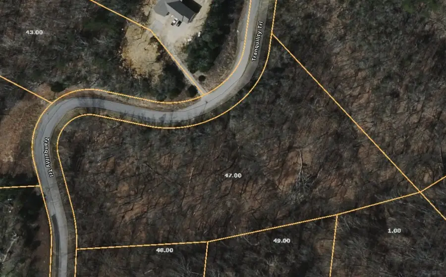47 Tranquility Tr, Dandridge, TN 37725 - #2