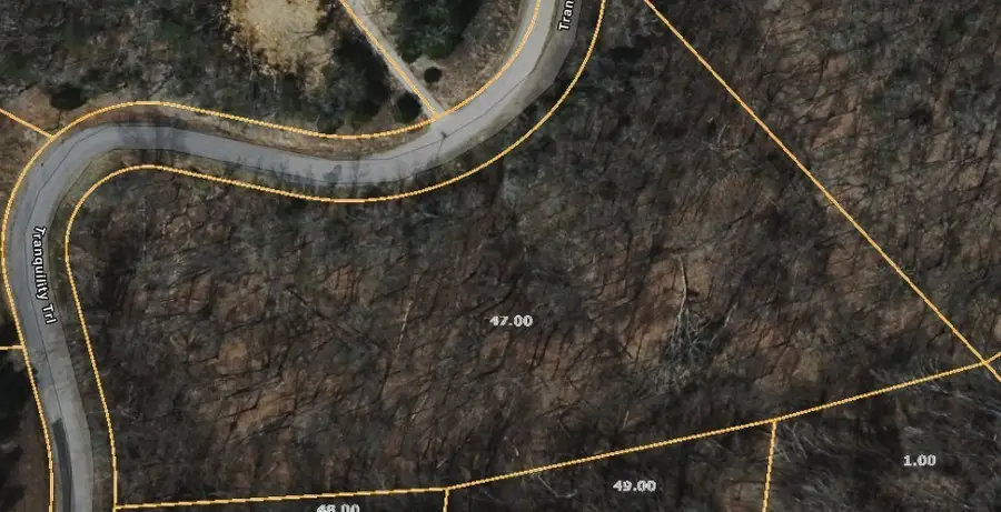 47 Tranquility Tr, Dandridge, TN 37725 - #3