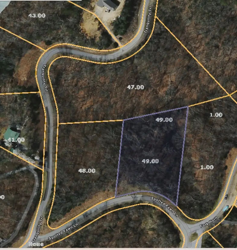 49 Spotted Fawn Ln, Dandridge, TN 37725 - #2