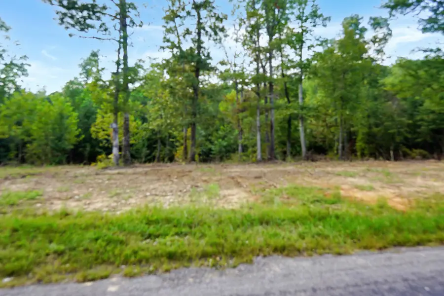 1 Freeman Fielder Rd, Stewart, TN 37175 - #2