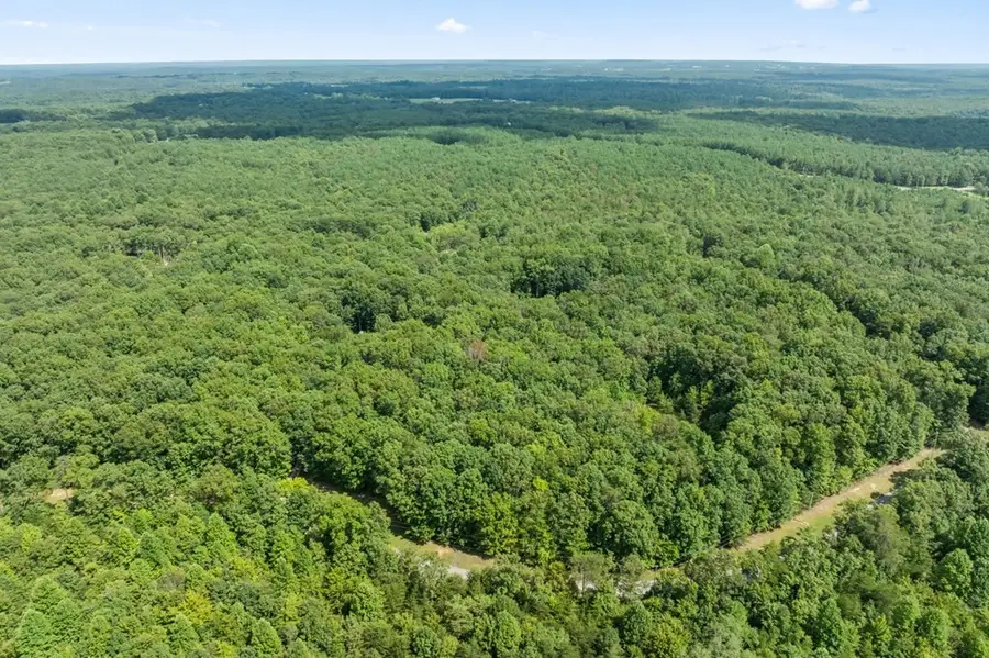 21 Hawks Bluff Rd, Spencer, TN 38585 - #3