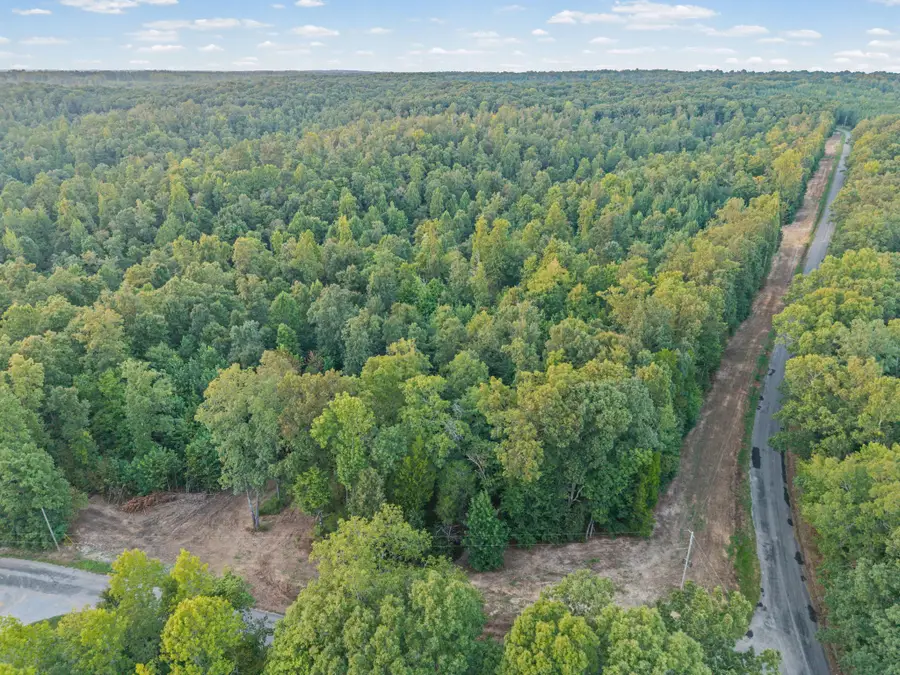 4 Selph Rd, Stewart, TN 37175 - #3