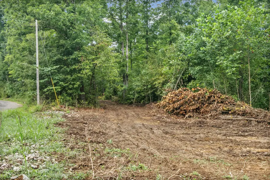 5 Selph Rd, Stewart, TN 37175 - #3