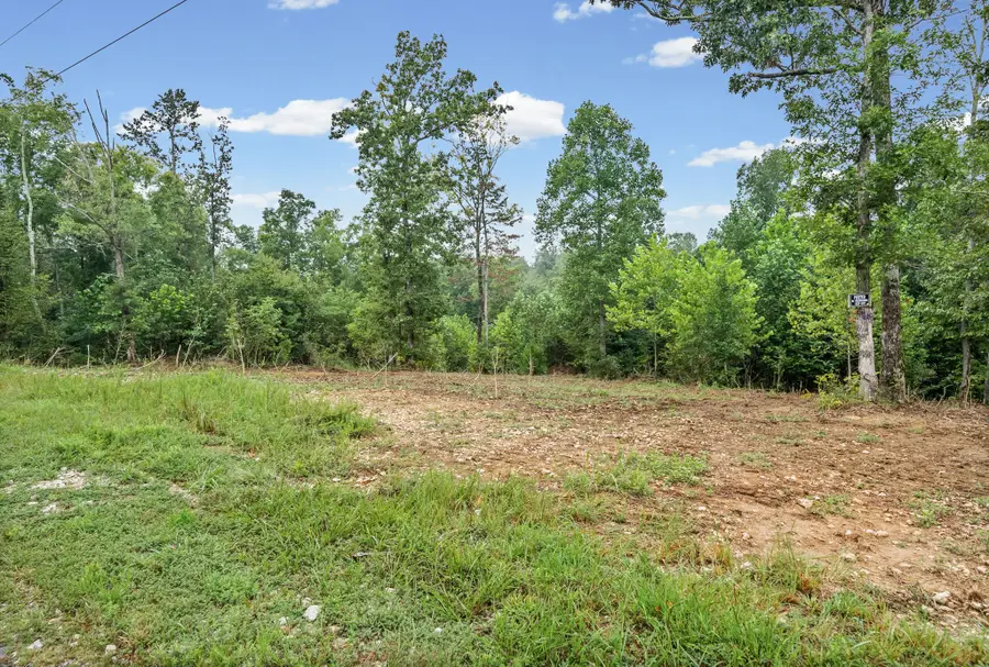 6 Selph Rd, Stewart, TN 37175 - #2