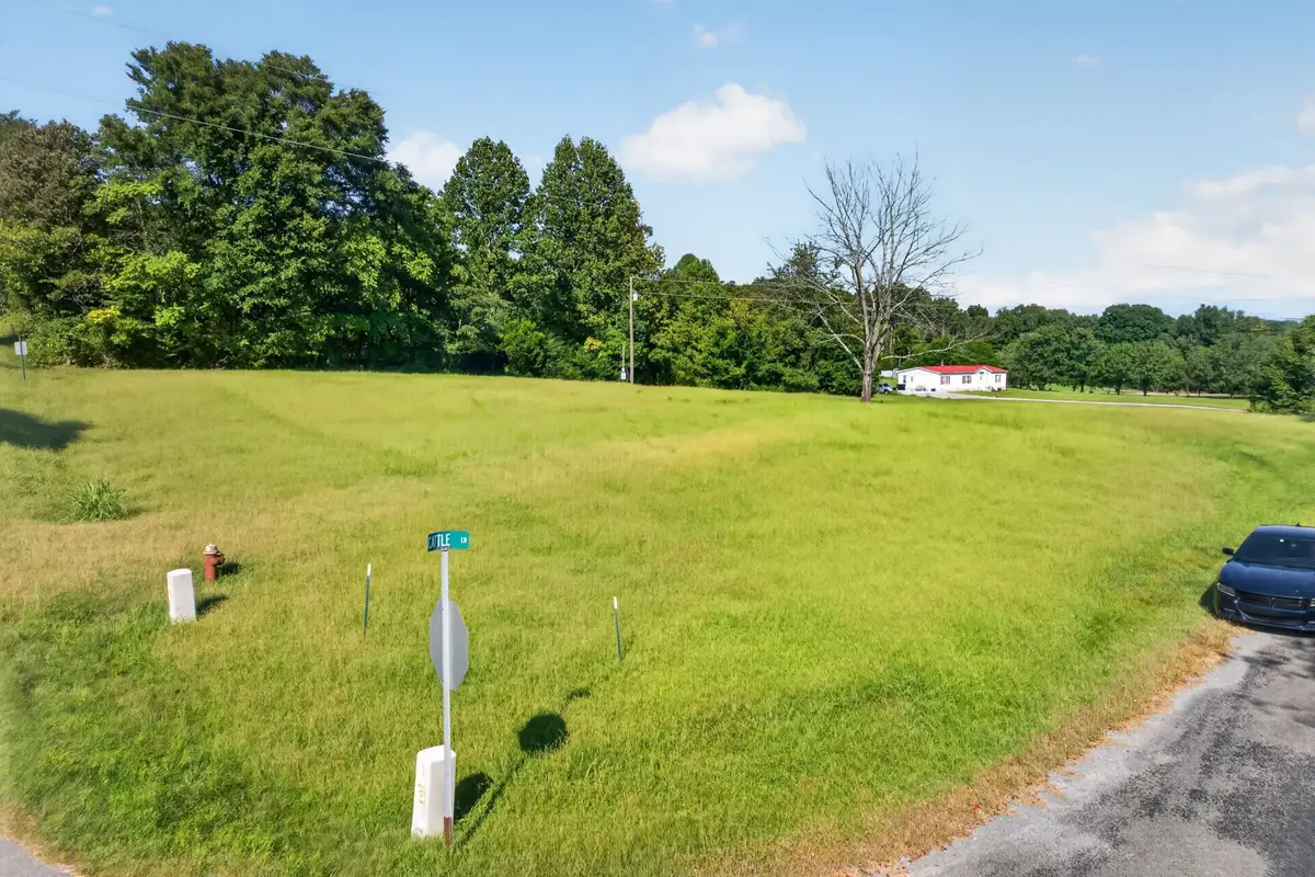 119 Cattle Ln, Hilham, TN 38568 - #1