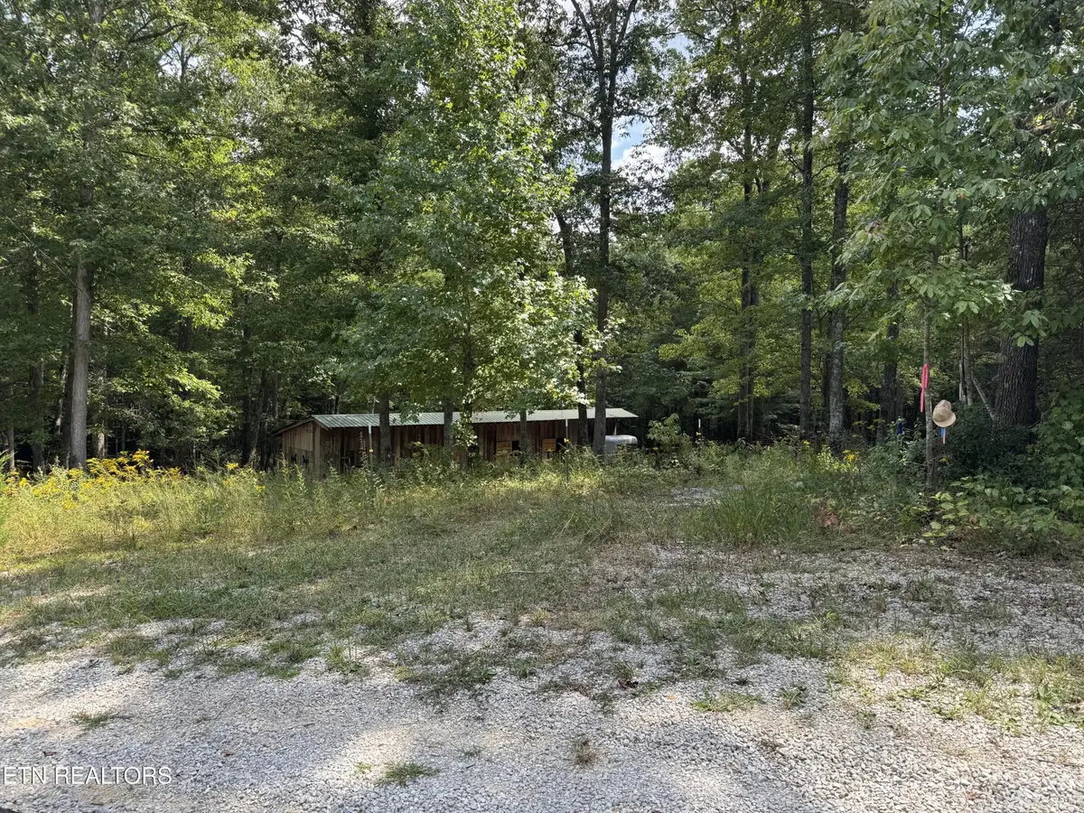 837 Bear Hollow Rd, Oneida, TN 37841 - #1