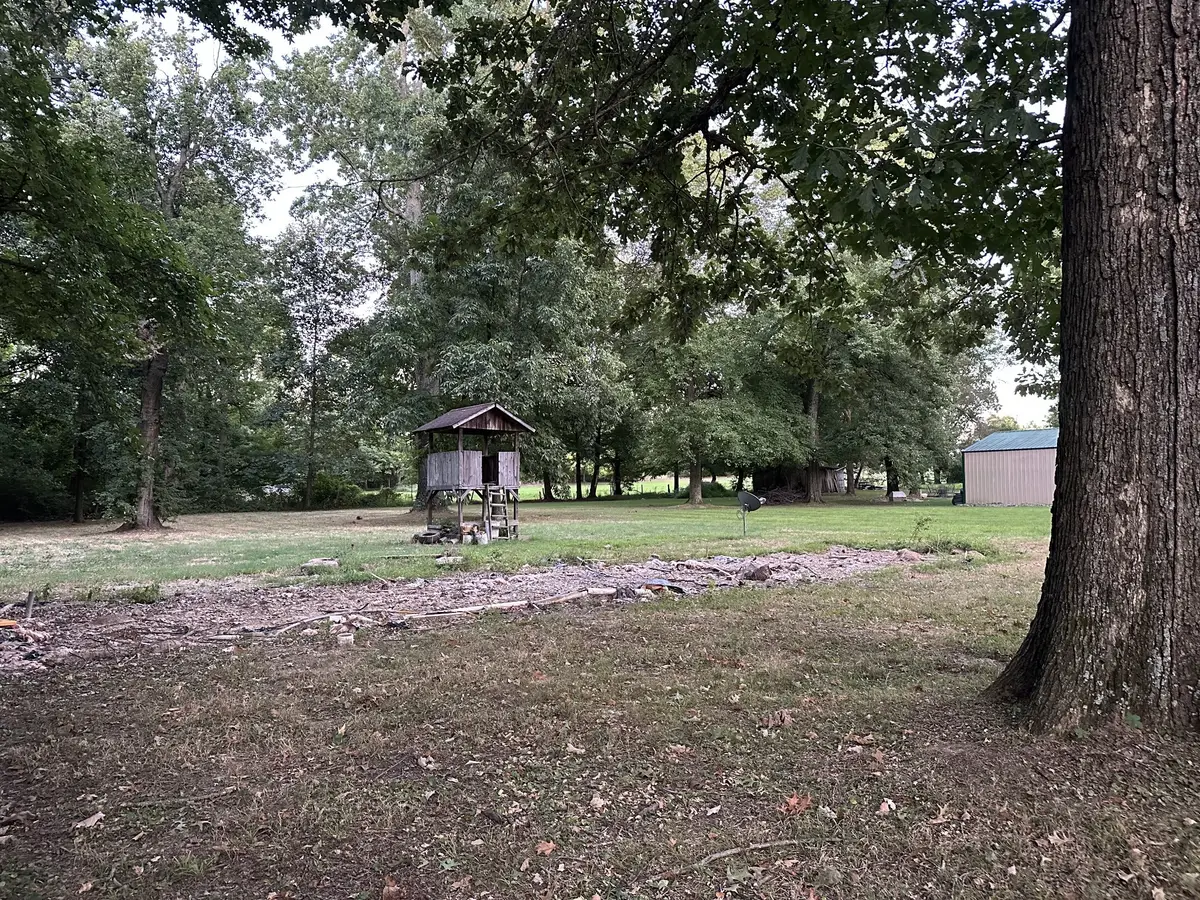 113 Morningside Dr, Portland, TN 37148 - #1